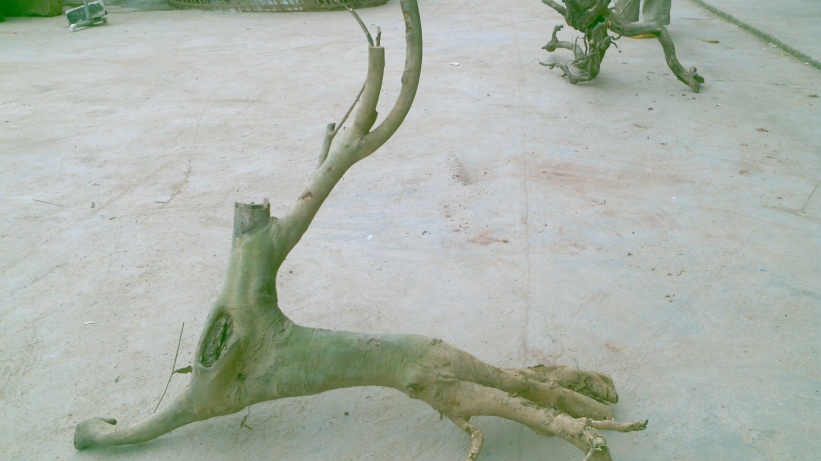 2014-04-01_16-58-12_342_conew1.jpg