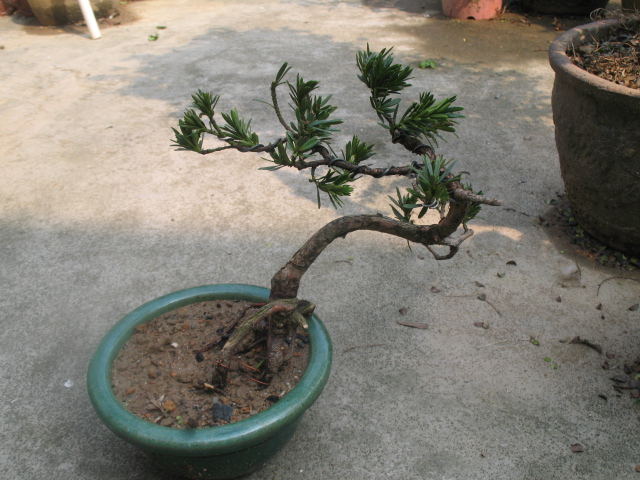 ȸ204.JPG