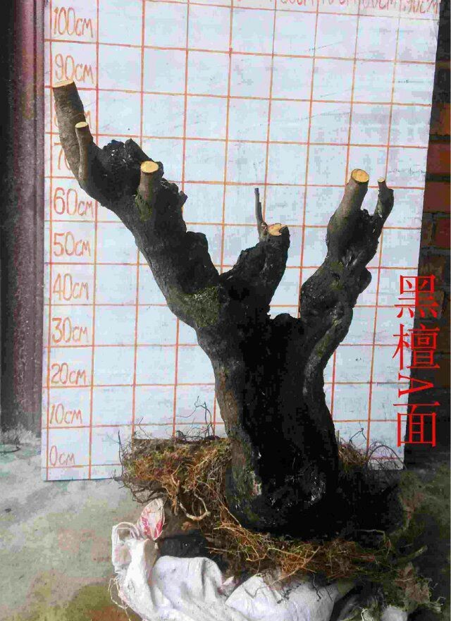QQͼƬ20140410230928.jpg