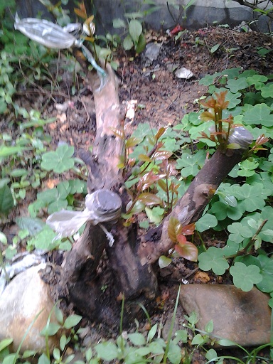 20140409_111455.jpg
