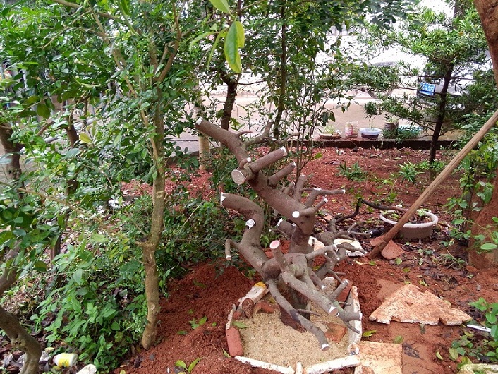 IMG201404012ţ.jpg