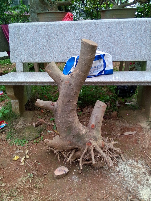 IMG20140412ţ22.jpg