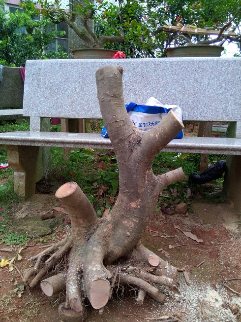 IMG20140412ţ24.jpg