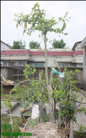 03.jpg
