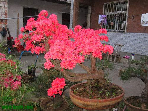 IMG_7263_.jpg