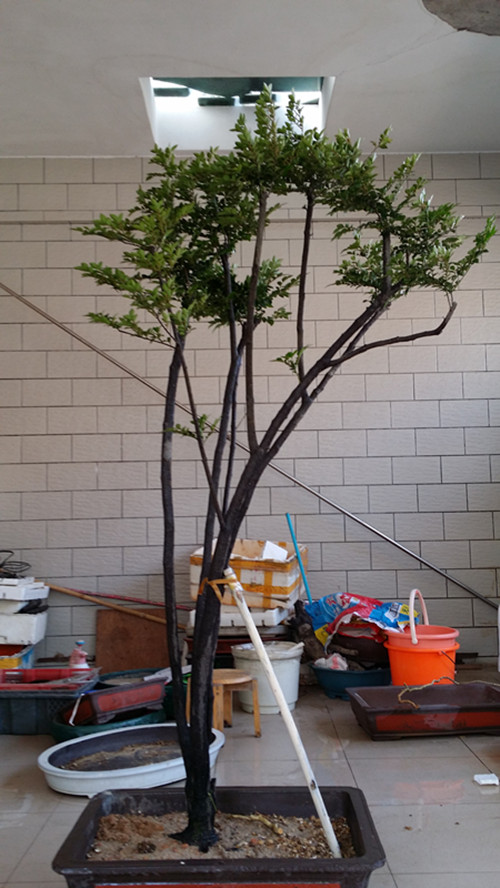 20140413_161018_.jpg