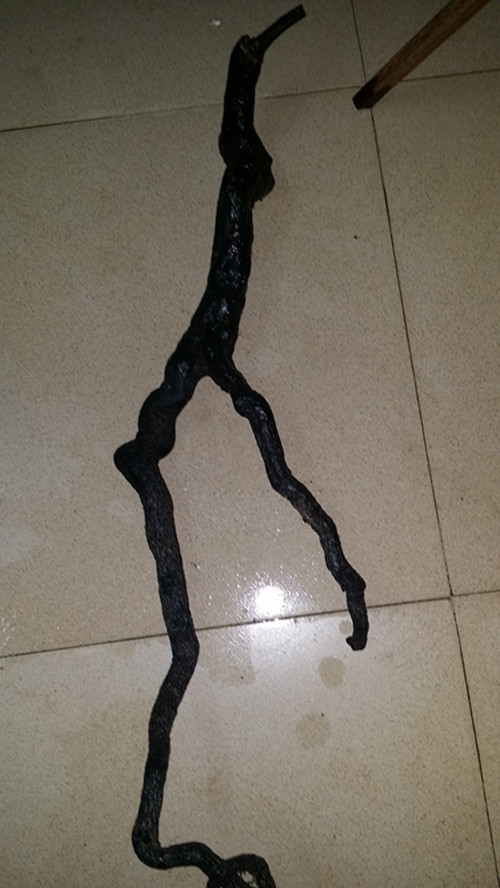 20140413_194415_.jpg