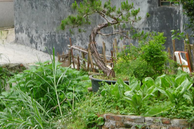 P1060136.JPG