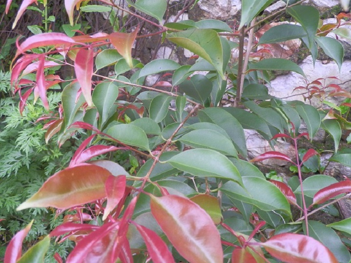 P2250554.JPG