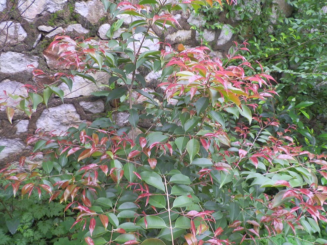 P2250559.JPG