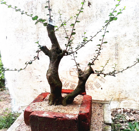 20140415_110444__.jpg