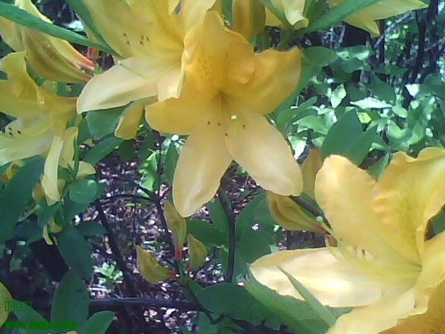 IMG0415115401.jpg