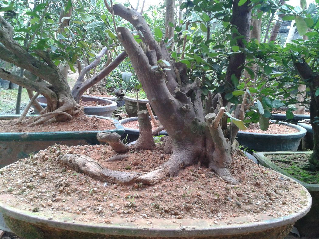 s1050_2014-04-15 10.29.30.jpg