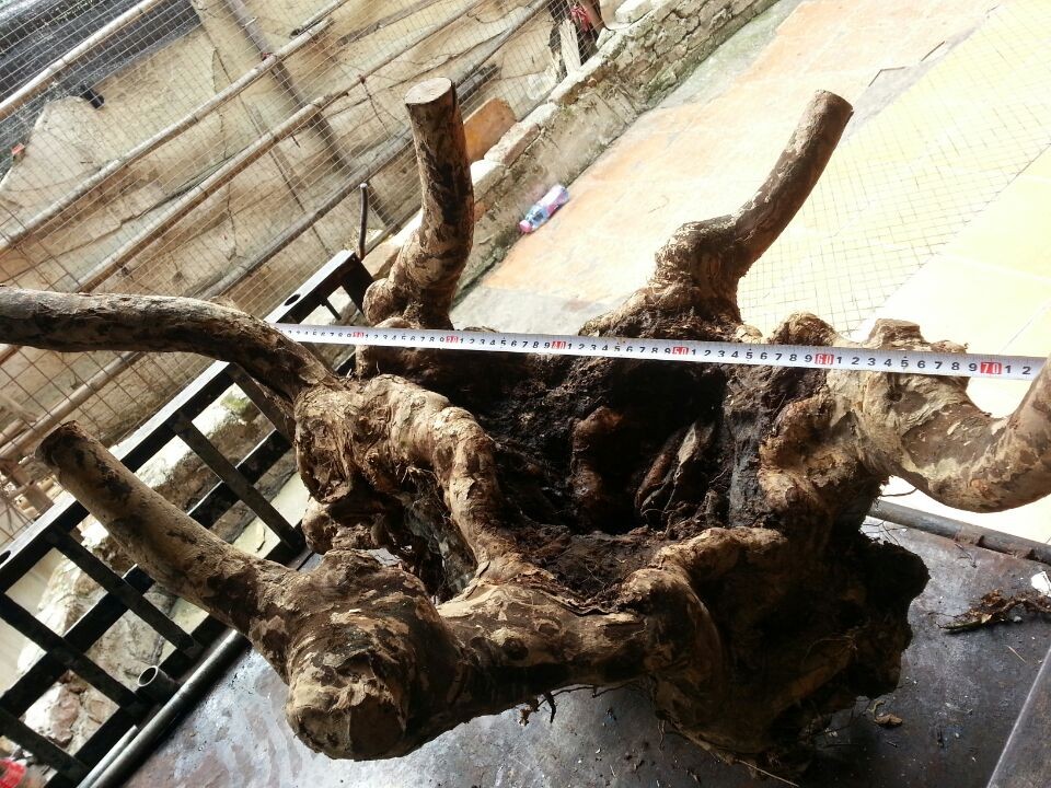 QQͼƬ20140415222252.jpg