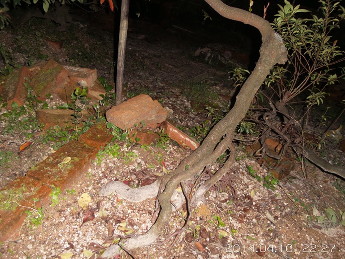 20140410_222739.jpg