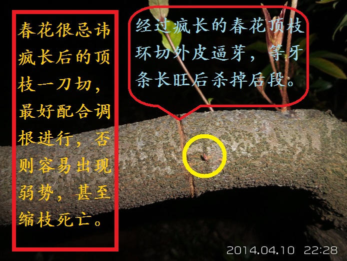 20140410_222806.jpg