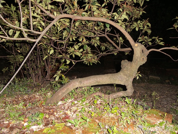 20140410_222853.jpg