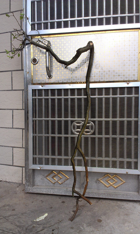 IMAG2457_.jpg