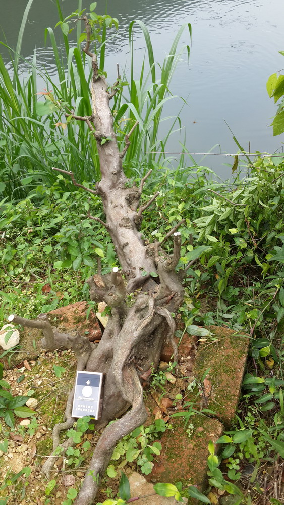 20140417_105223.jpg