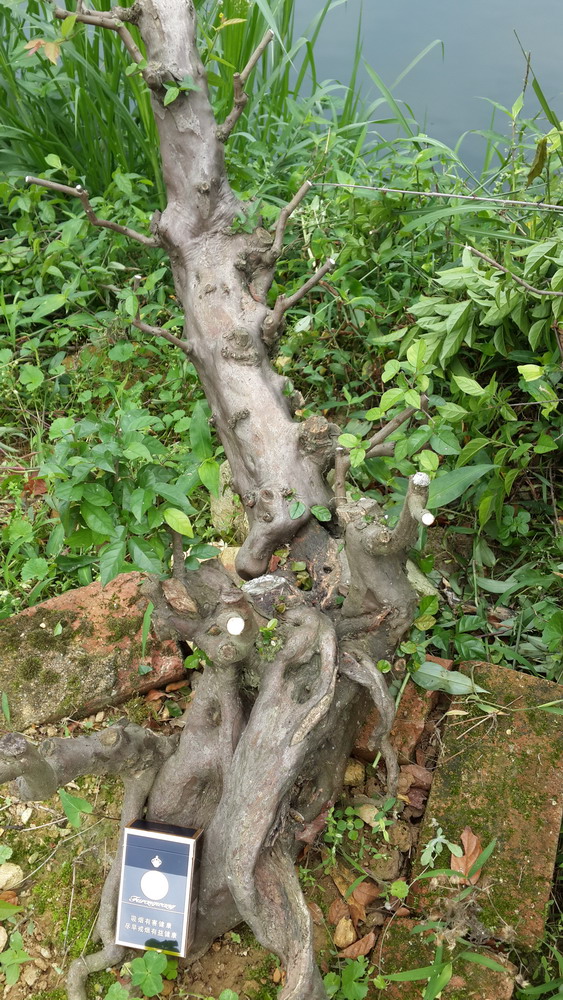 20140417_105236.jpg