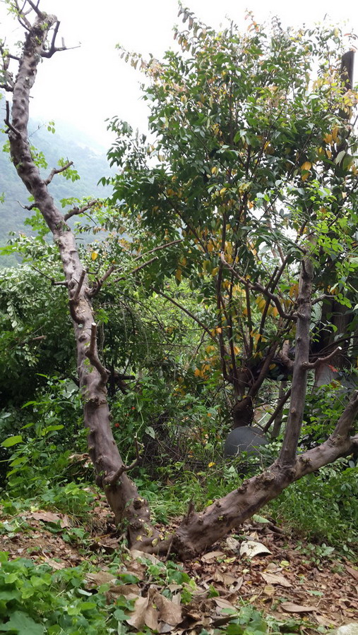 20140417_105412.jpg