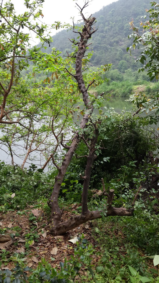 20140417_105508.jpg