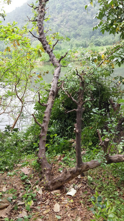 20140417_105531.jpg