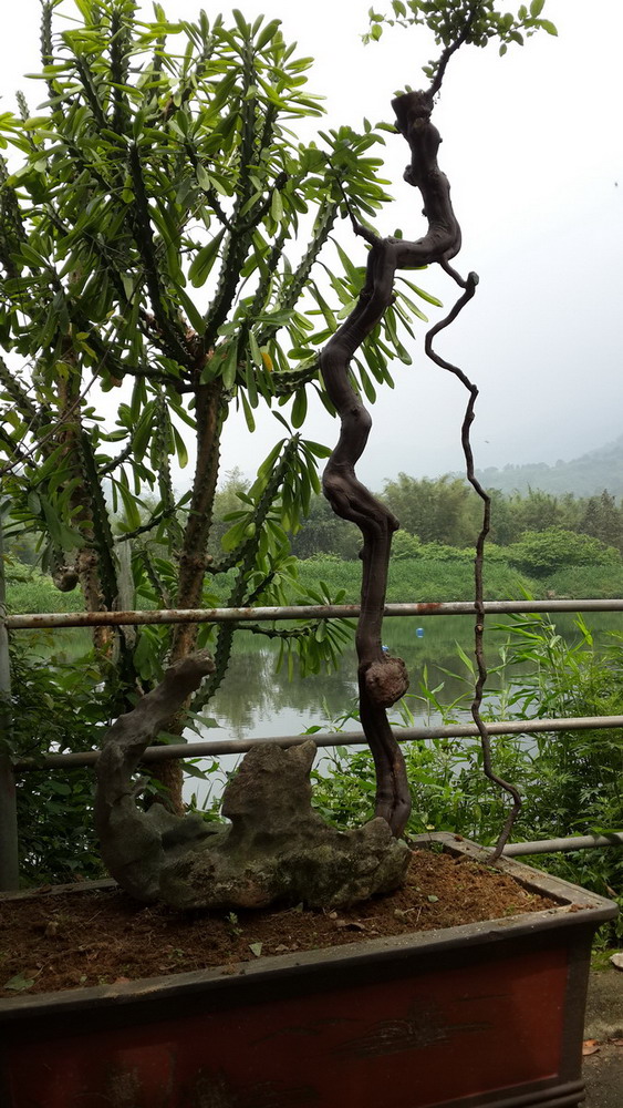20140417_105606.jpg