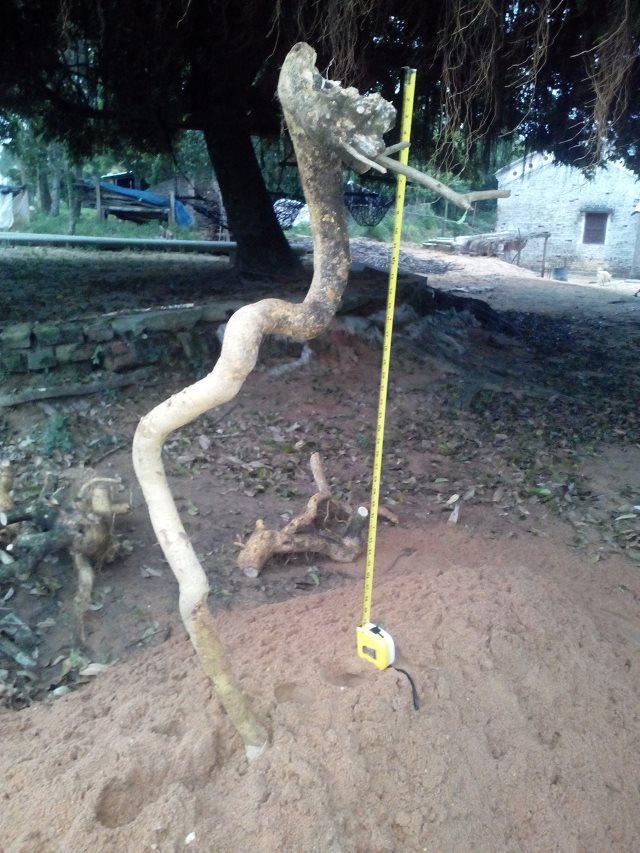 2..jpg