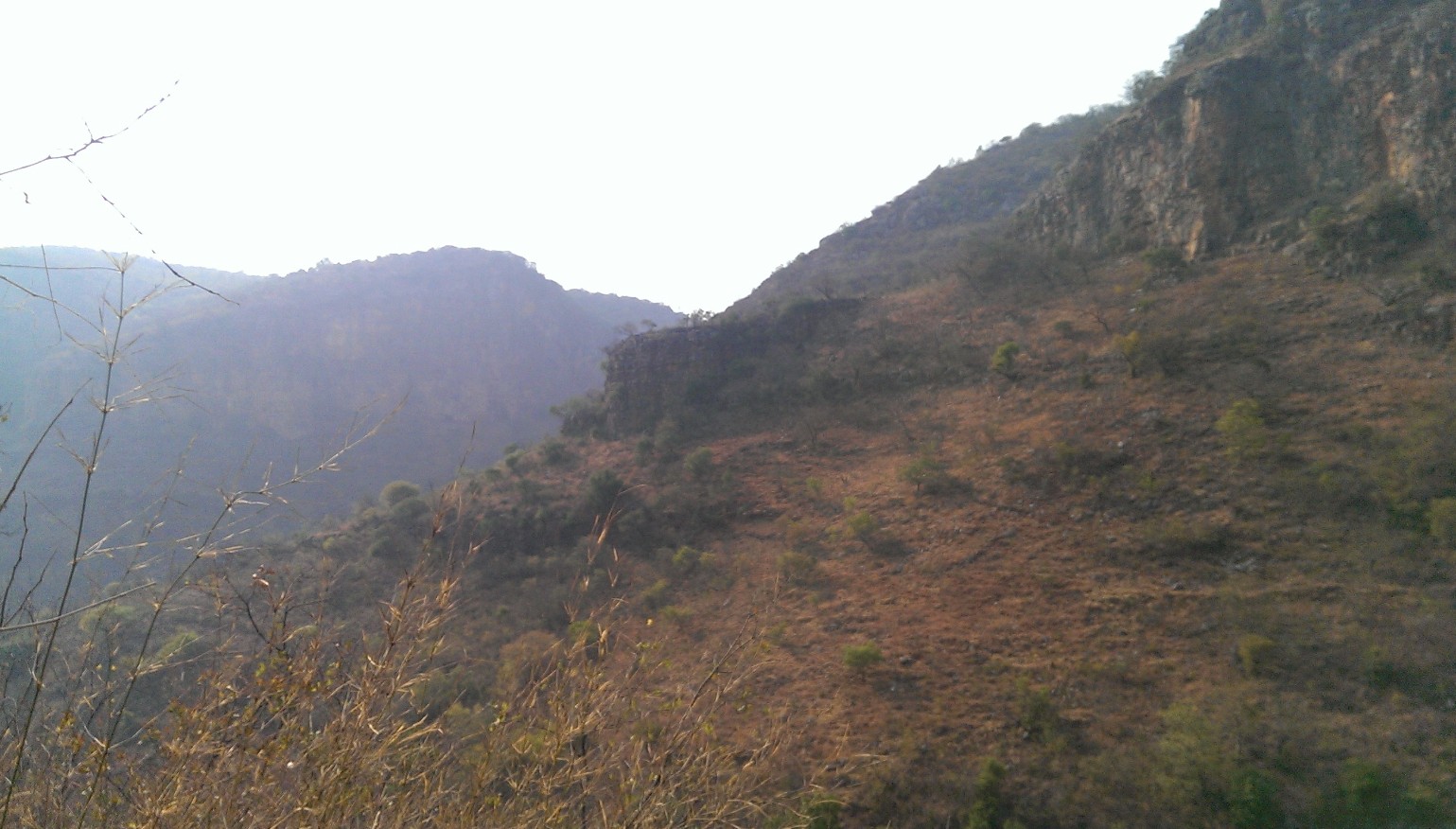 QQͼƬ20140418213006.jpg