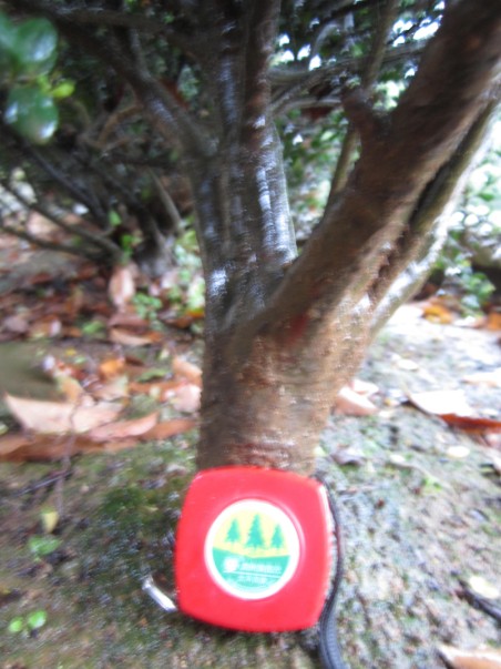 QQͼƬ20140421155621.jpg