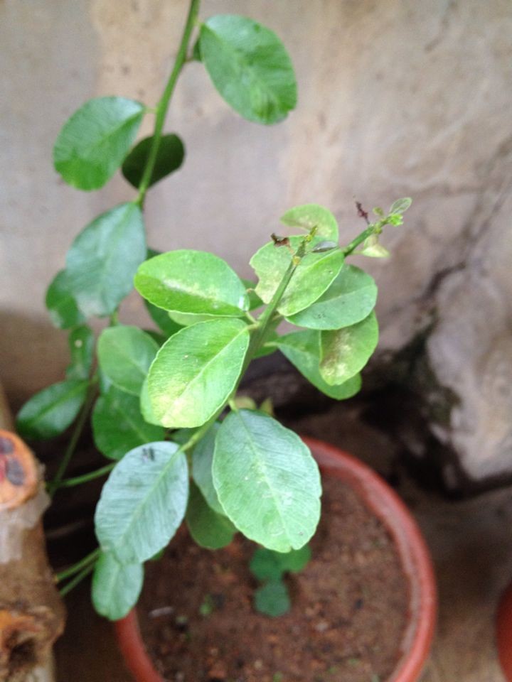 QQͼƬ20140422093540.jpg