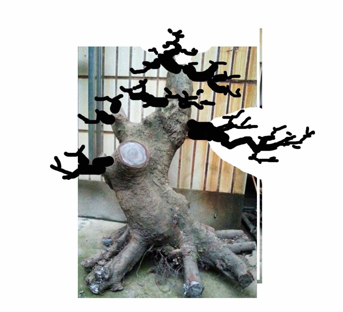 231756jupq0c3uxlxlgugw.jpg.thumb.jpg