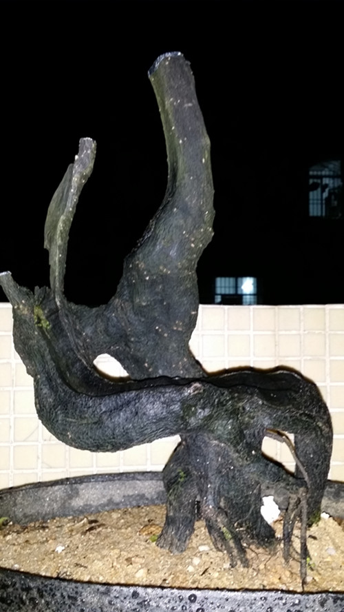 20140417_223959_.jpg