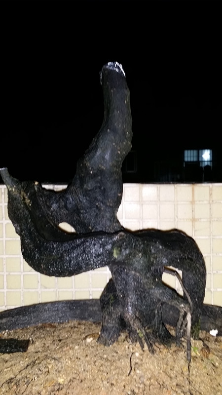 20140421_233315_.jpg