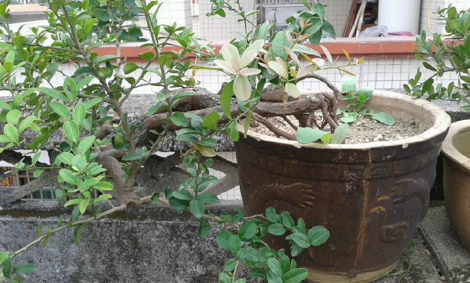 QQͼƬ20140422130035.jpg