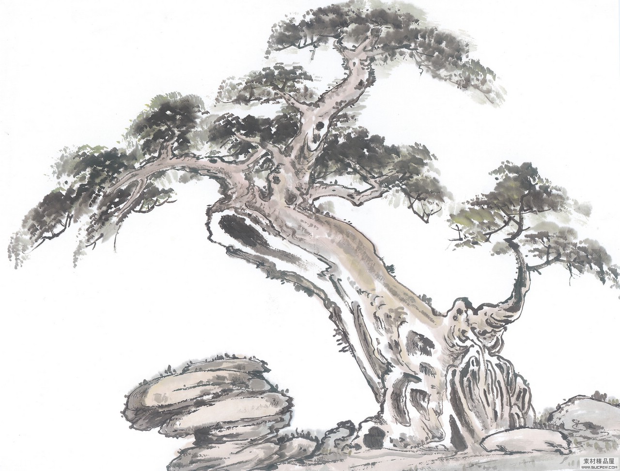 BITsucaiw-guohua-bit309000.jpg