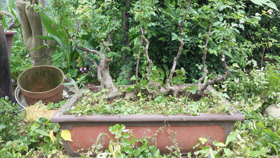 20140417_105142.jpg