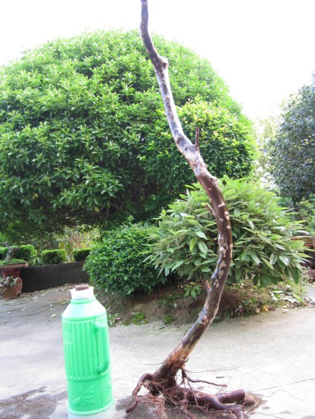 QQͼƬ20140423185619.jpg