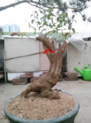 QQͼƬ20140424222551.jpg