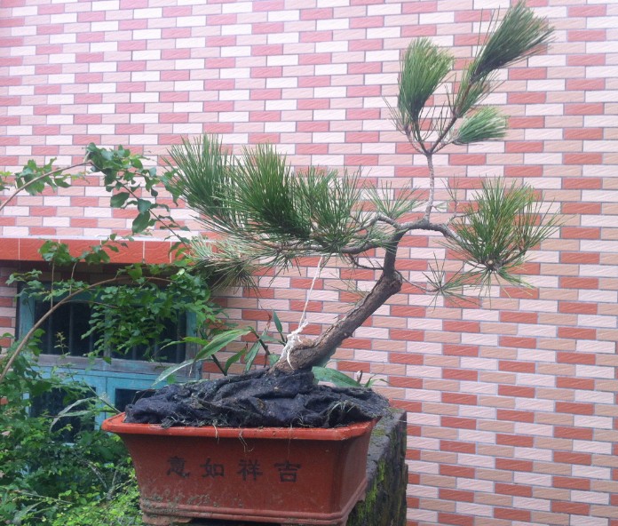 QQͼƬ20140424144346.jpg