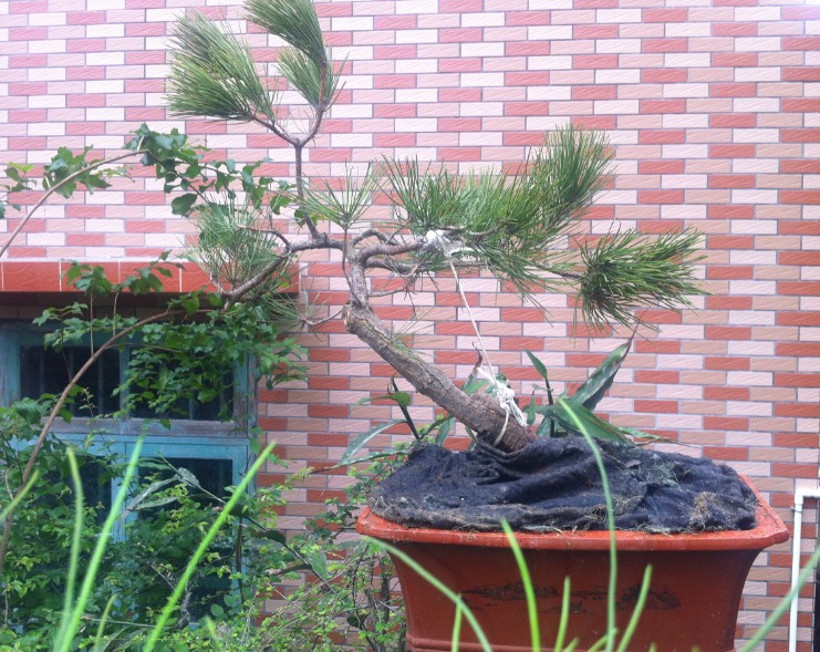 QQͼƬ20140424144414.jpg