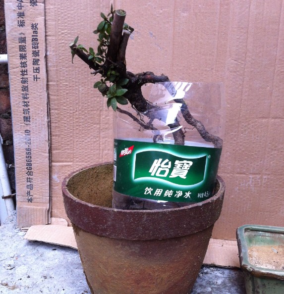 QQͼƬ20140424144612.jpg