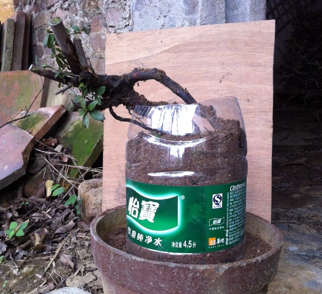 QQͼƬ20140424144651.jpg