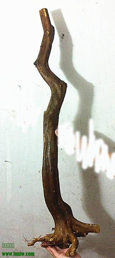 230534ycbfh8odd8ppqcuz.jpg.thumb.jpg