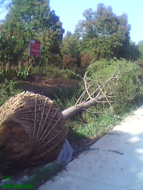 IMG0404153000.jpg