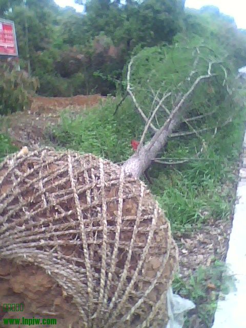 IMG0418153400.jpg
