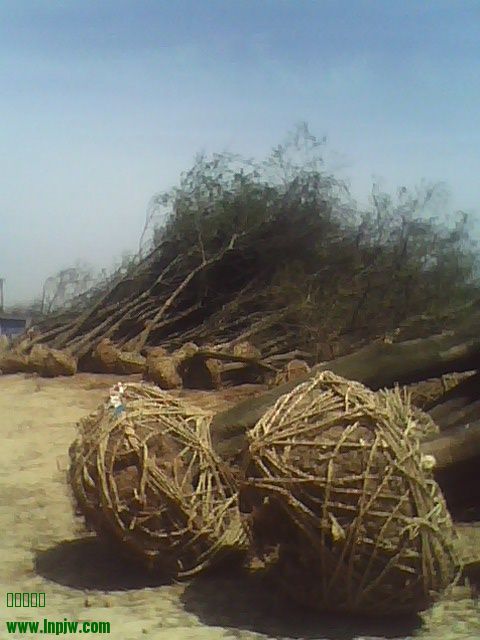 IMG0406105800.jpg