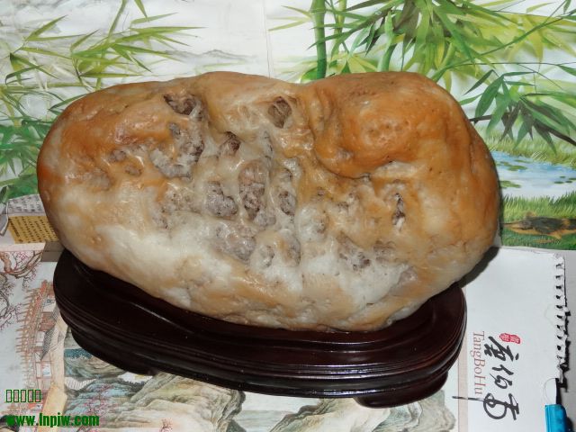 DSC00433.JPG