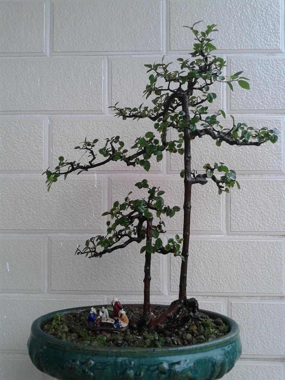 20140426_112722.jpg